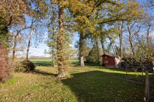 Garden- click for photo gallery